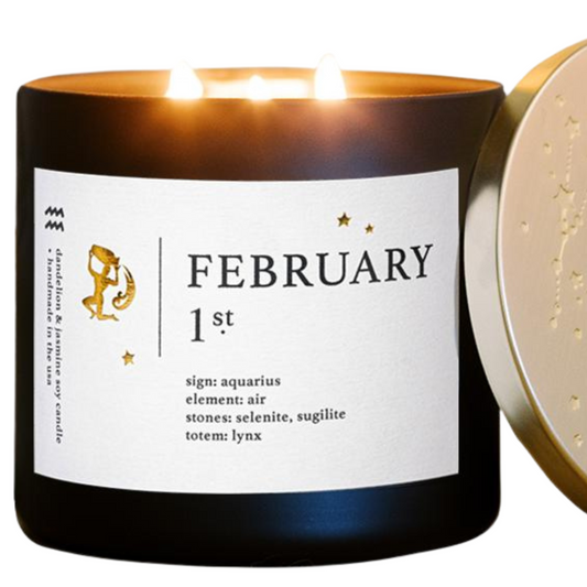 February Zodiac Candles With Personalized Astrology