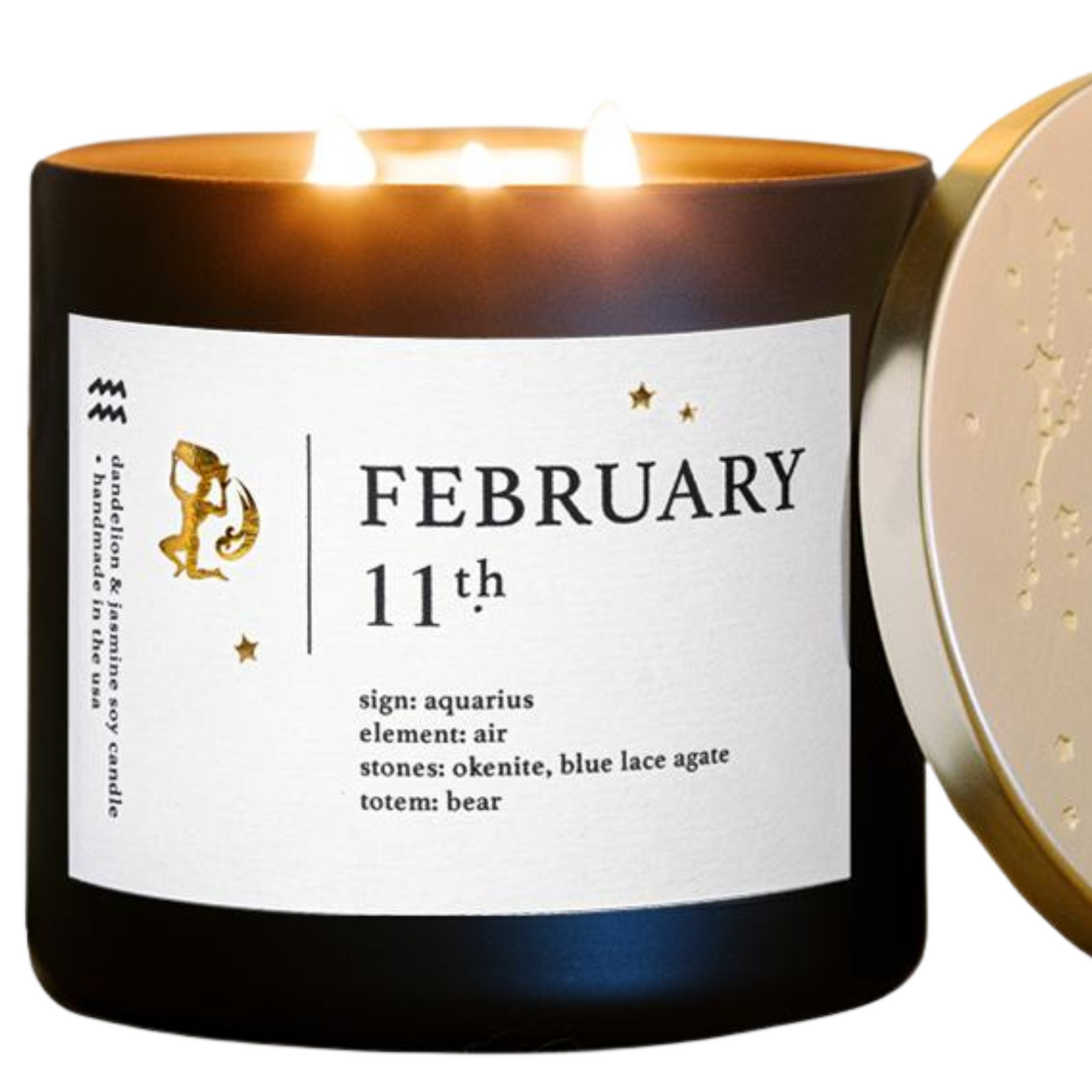 February Zodiac Candles With Personalized Astrology