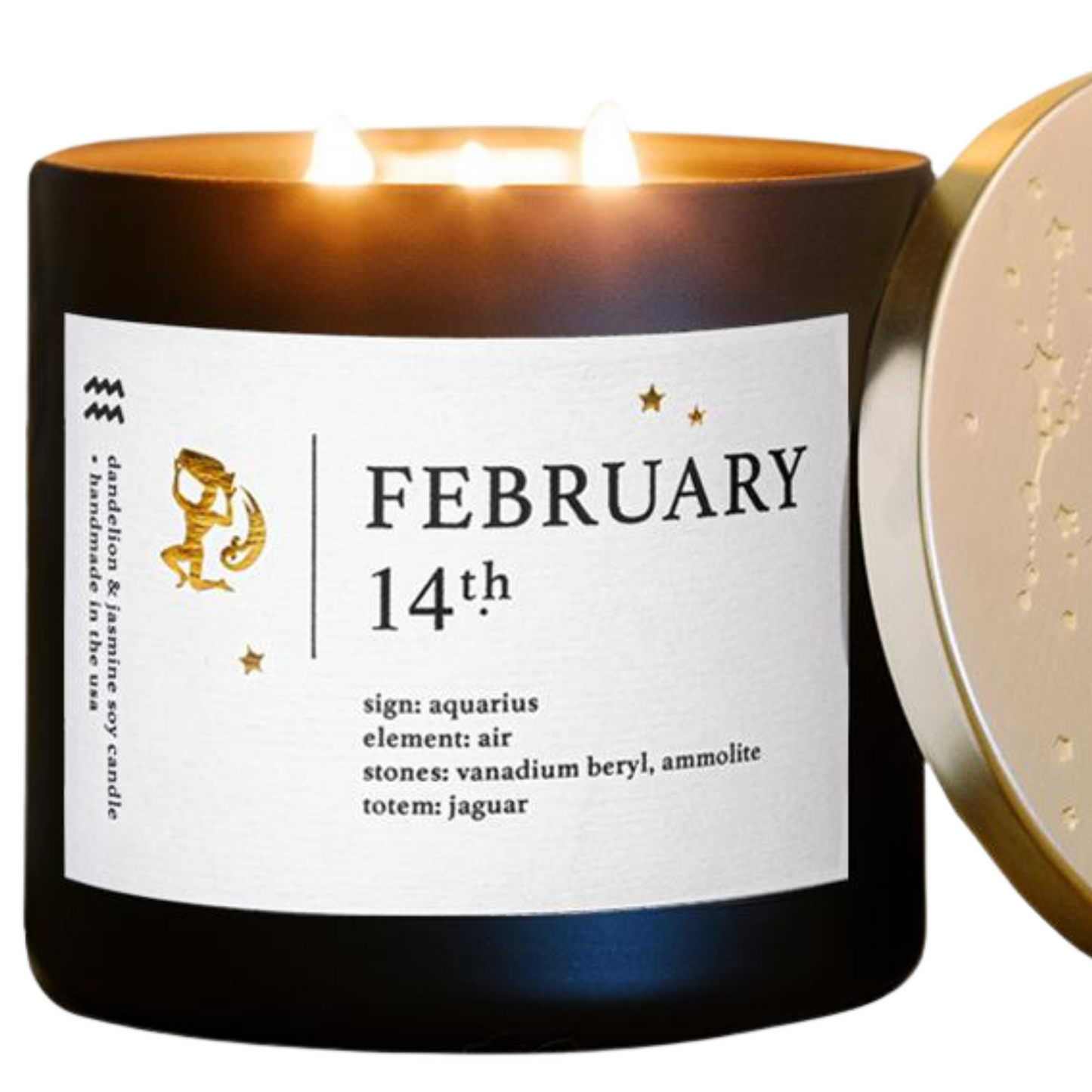 February Zodiac Candles With Personalized Astrology