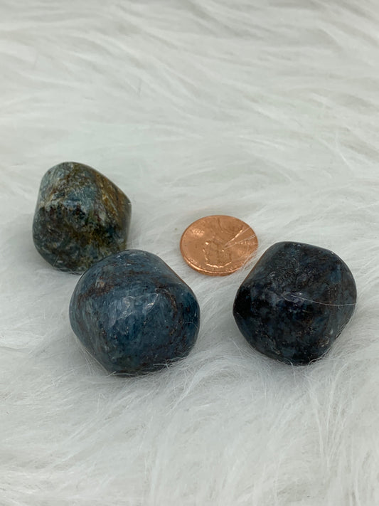 Kyanite Green & Blue - Tumbled