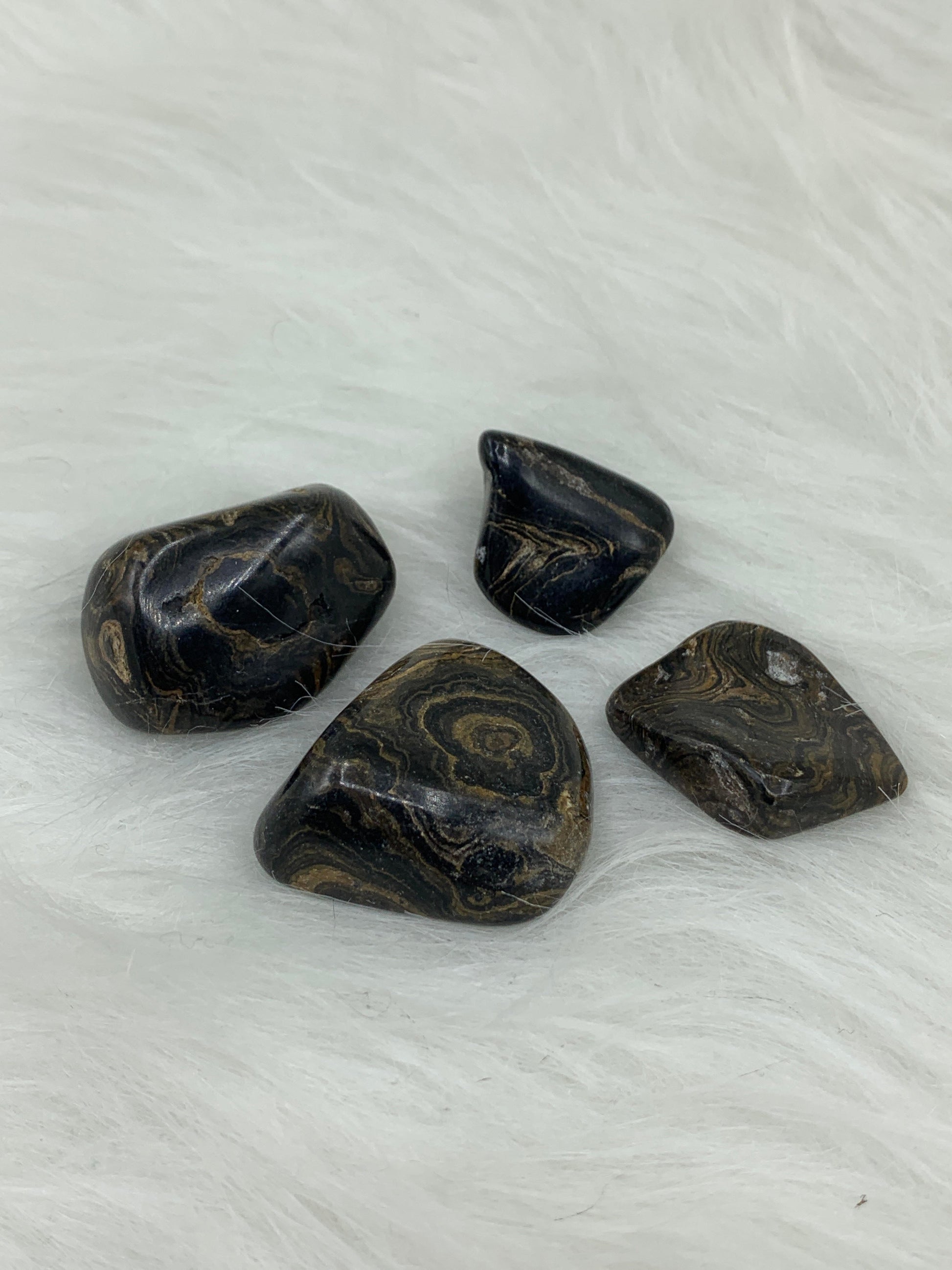 Stromatolite - Tumbled