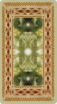 Native American Tarot Deck: Mystical Shaman Wisdom