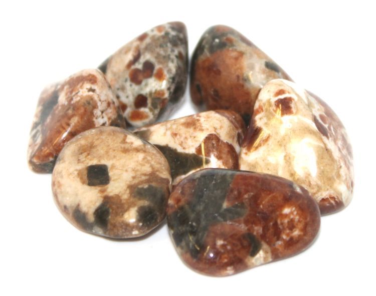 Garnet/Limestone w/Epidot