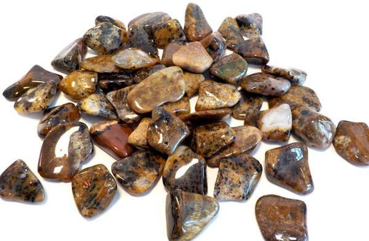 Agate Cheetah