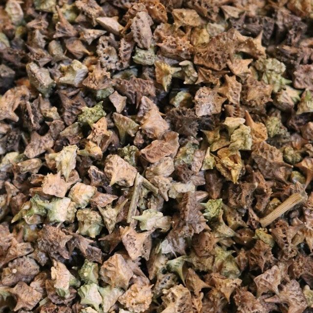 Tribulus Fruit Whole Organic