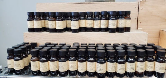 Ginger Essential Oil 1/2 oz