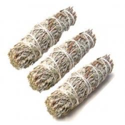 Blue Sage 3 pack 4-5"