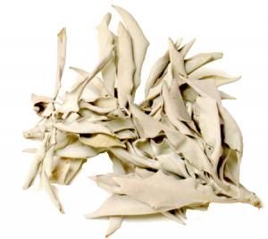 1lb White Sage