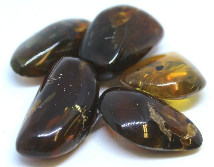 Amber Dark Columbia