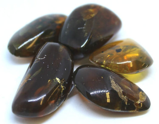 Amber Dark Columbia