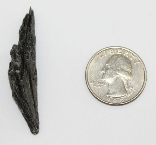 Kyanite Black Blades sm