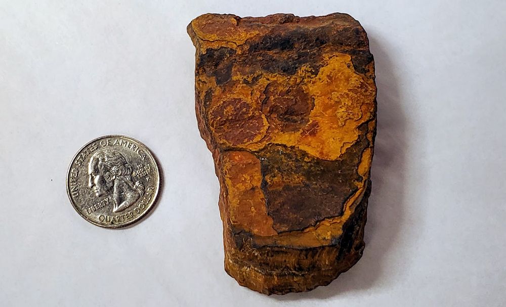 Tigers Eye Rough Large