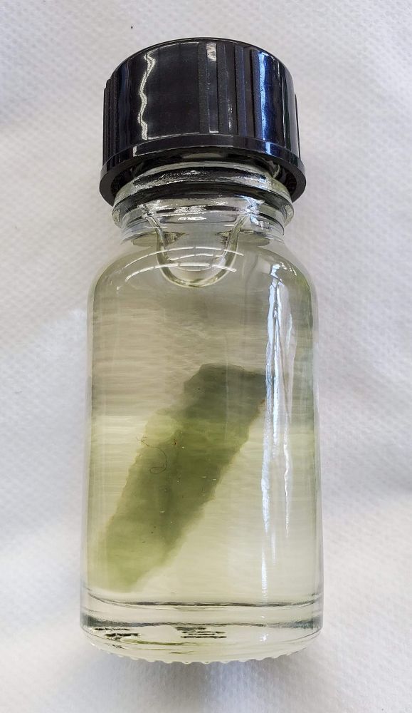 Moldavite Oil
