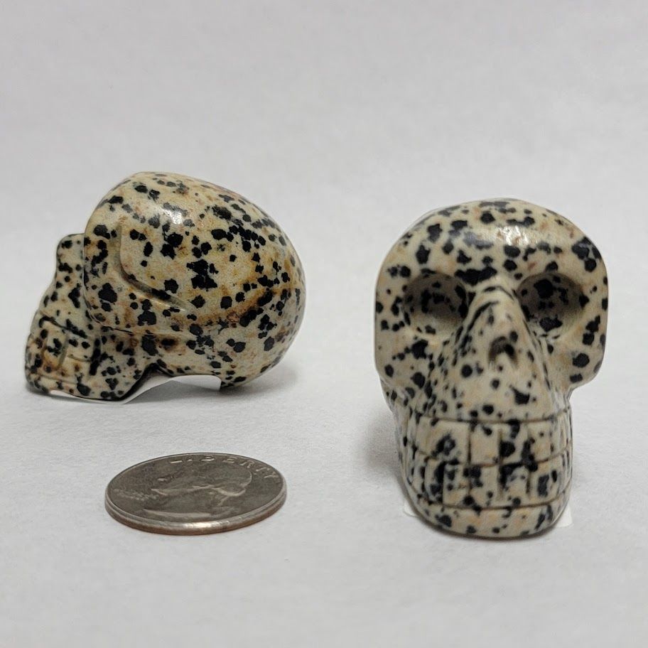 Dalmatian Jasper Skull