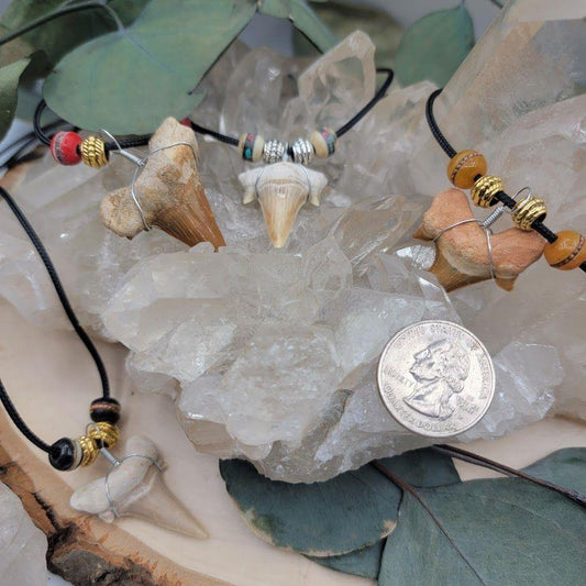 Shark Tooth Beaded Necklace