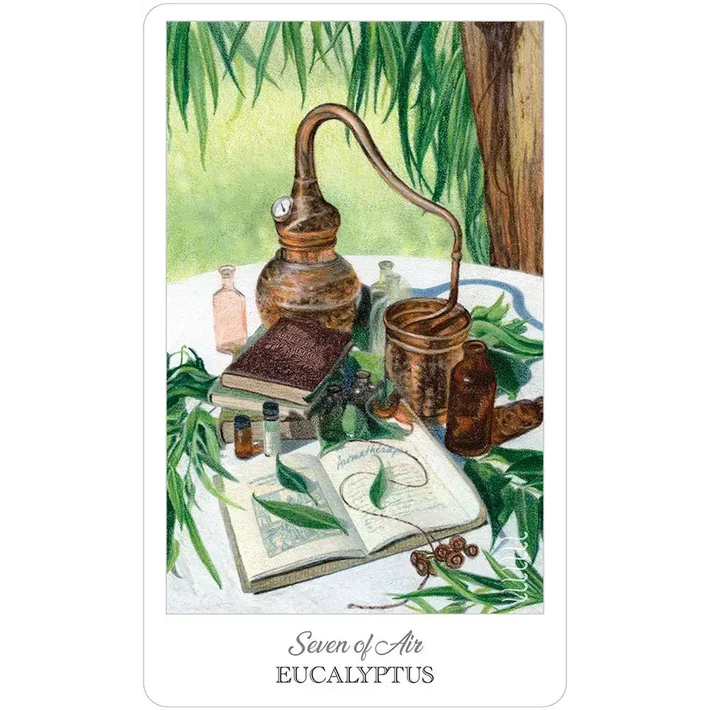 The Herbcrafter's Tarot Deck for Herbal Rituals and Healing