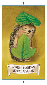 Fairy Tarot Deck: Whimsical Insight And Positive Guidance