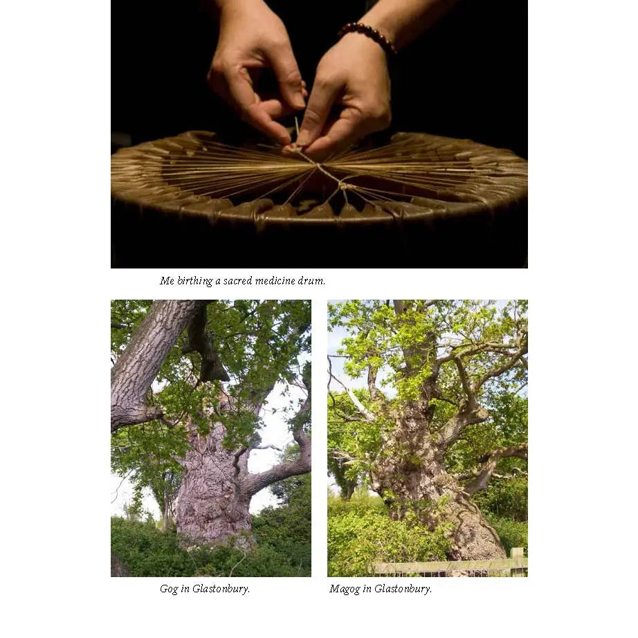 Crystal Shamanism: Sacred Earth Medicine Healing Book