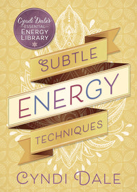 Healing Subtle Energy Techniques Book by Cyndi Dale