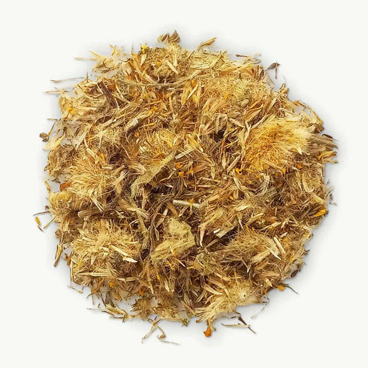 Magical Arnica Herb for Healing and Protection - 1oz Whole