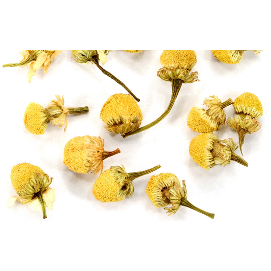 Organic Chamomile Herb for Relaxation and Healing