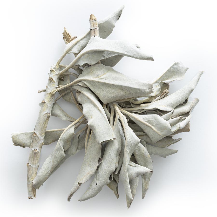 White Sage Incense for Spiritual Healing | Mystics Vibe