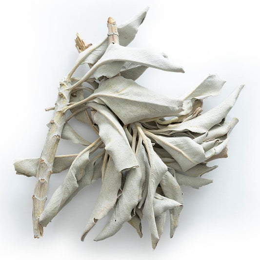 White Sage Incense for Spiritual Healing | Mystics Vibe
