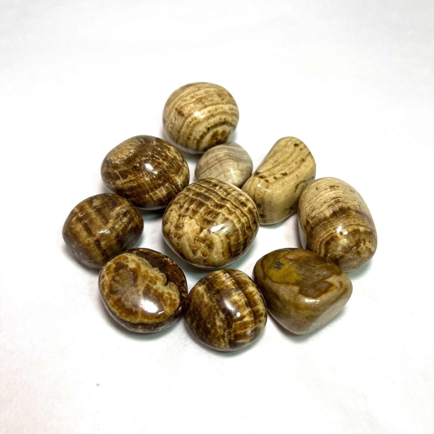 Aragonite Tumbled Stone for Grounding Stability and Harmony