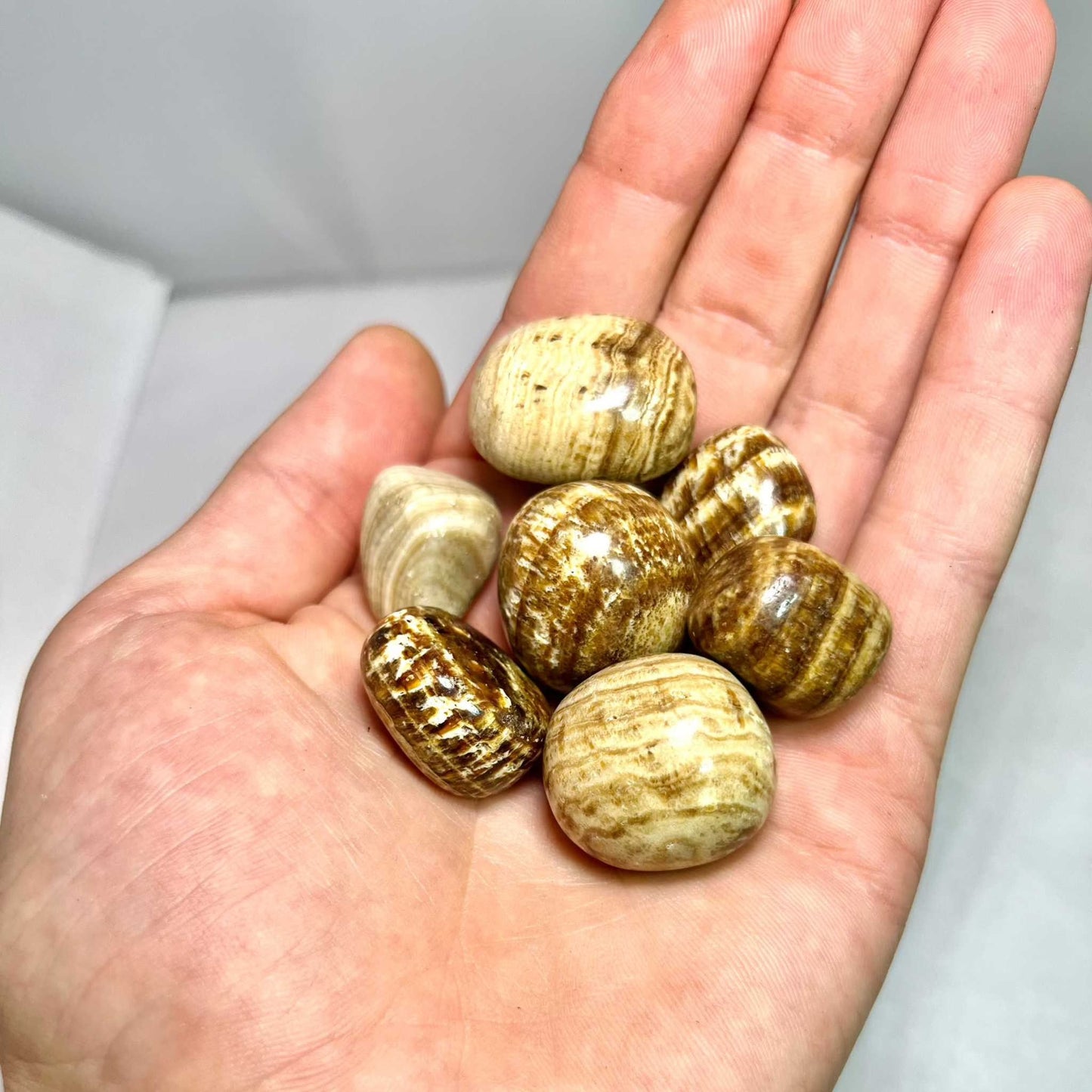 Aragonite Tumbled Stone for Grounding Stability and Harmony