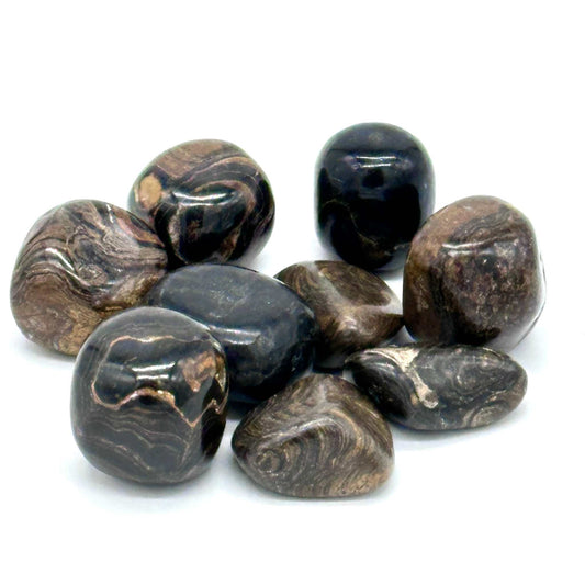 Stromatolite Tumbled Stone for Divine Wisdom Grounding