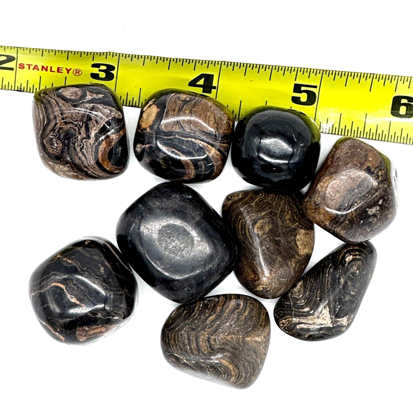 Stromatolite Tumbled Stone for Divine Wisdom Grounding
