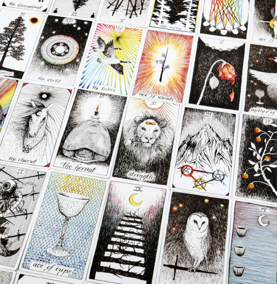 Mystical Wild Unknown Tarot Deck for Daily Guidance