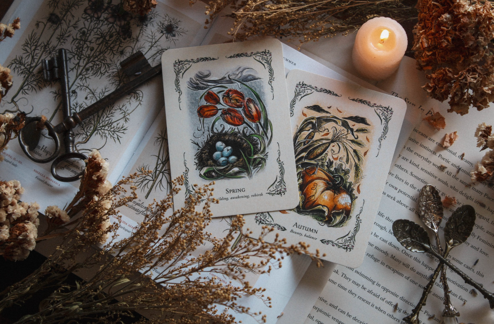 Green Witch's Oracle Deck for Natural Magic and Wisdom