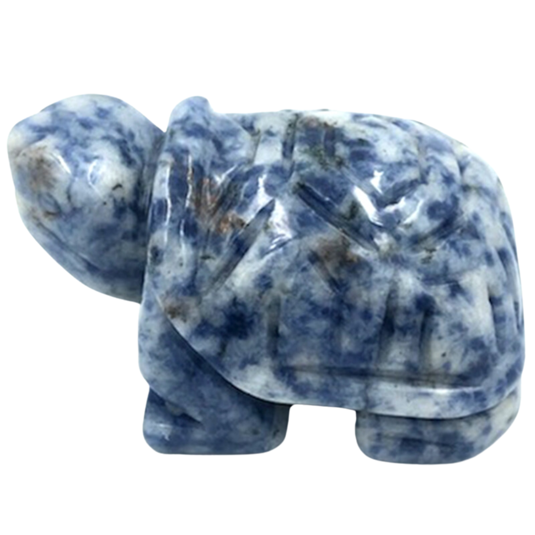 Sodalite Turtle (1.5")