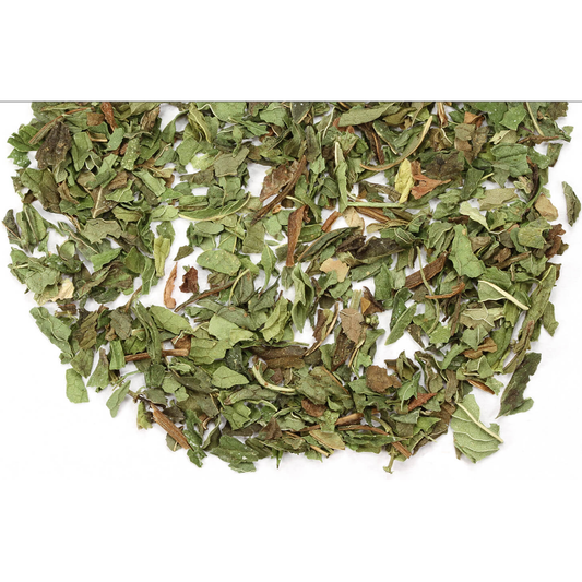 Spearmint Herb For Aromatherapy And Healing | Mystics Vibe
