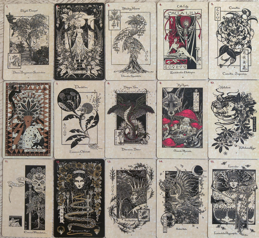 The Mystical Healing Magickal Botanical Oracle Deck