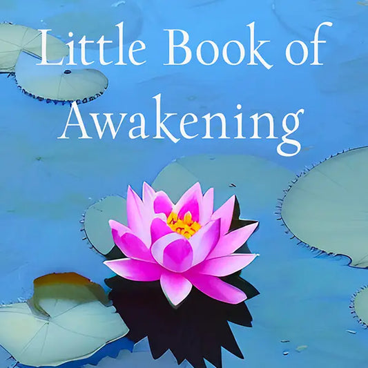 The Little Book of Awakening: Spiritual Wisdom Guide