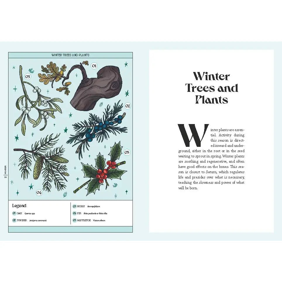 Herbana Witch Healing Book: Year In Forest Magic