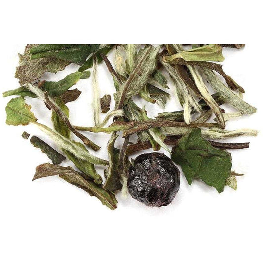 Wizard's Familiar Raven Mystical White Tea Blend