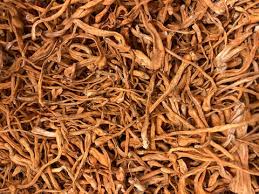 Cordyceps Mushroom Sliced 1oz