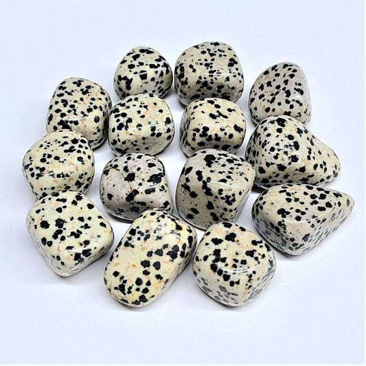 Joyful Dalmatian Jasper Tumbled Stone for Balance