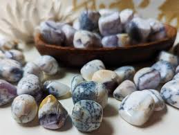 Dendrite Opal Tumbled