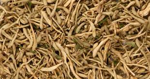 Honeysuckle Flower 1oz