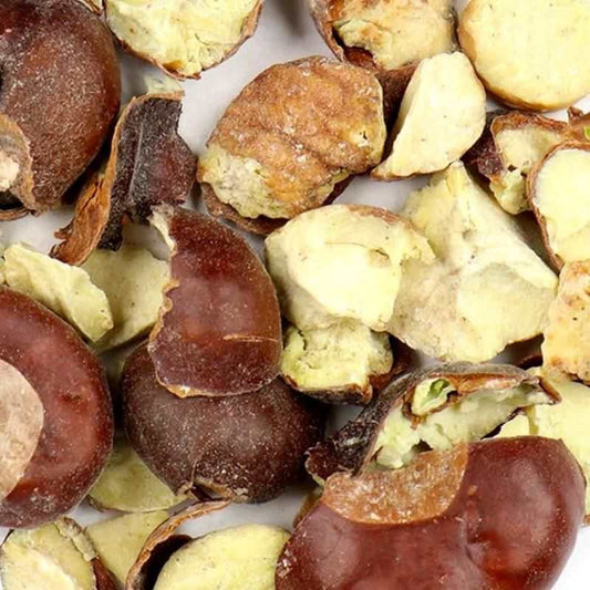 Sacred Horse Chestnut Whole Herb For Magical Use - 1oz