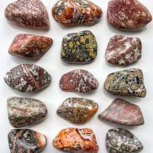 Leopardskin Jasper A Tumbled