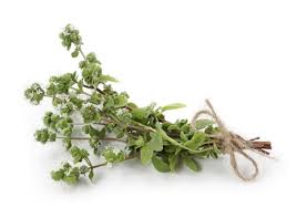 Marjoram Sweet Essential Oil