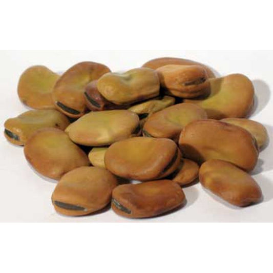 Mojo Wish Bean 1oz