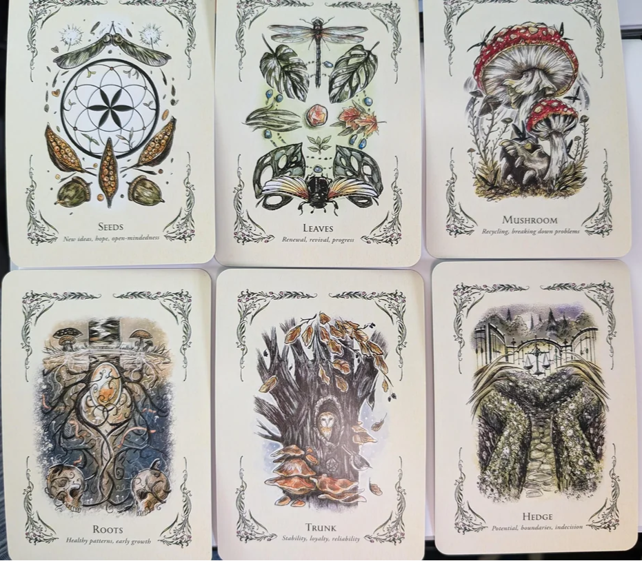 Green Witch's Oracle Deck for Natural Magic and Wisdom