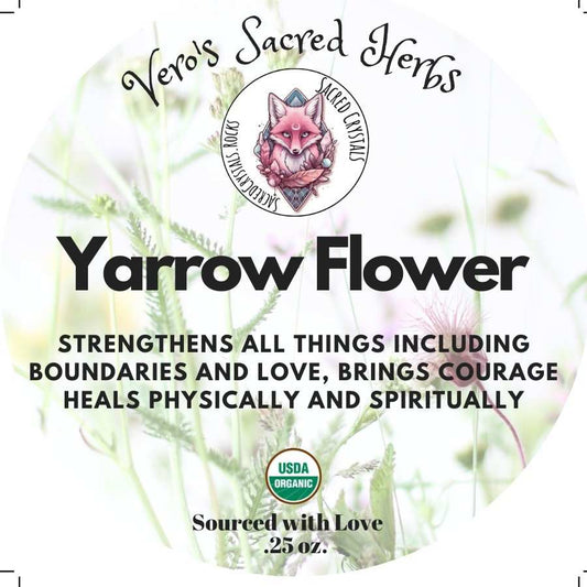 Organic Yarrow Flower Herb For Rituals And Healing