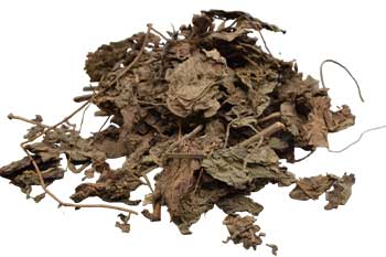 Patchouli Leaf whole